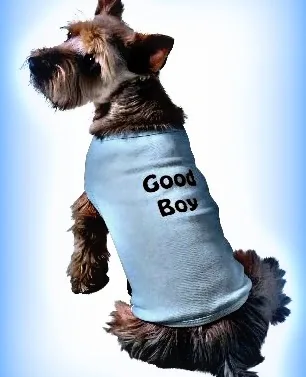 Teach your dog quickly by telling him when he is good