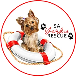 Official Logo for SA Yorkie Rescue