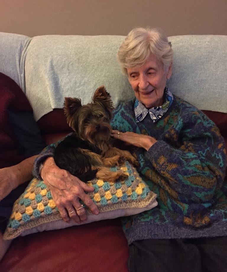 A beautiful success story of a Yorkie rescuing a human
